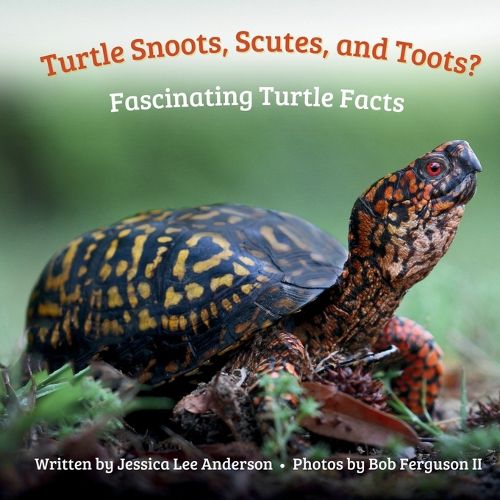Cover image for Turtle Snoots, Scutes, and Toots? Fascinating Turtle Facts