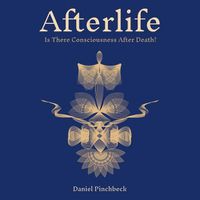 Cover image for Afterlife: Is There Consciousness After Death?