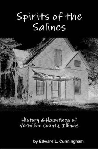 Cover image for Spirits of the Salines