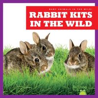 Cover image for Rabbit Kits in the Wild