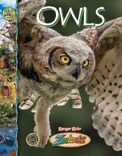 Cover image for Owls