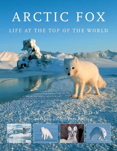 Cover image for Arctic Fox