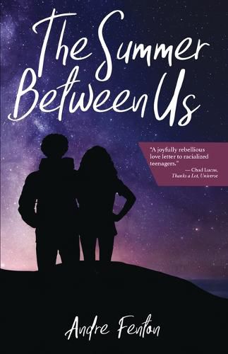 Cover image for The Summer Between Us