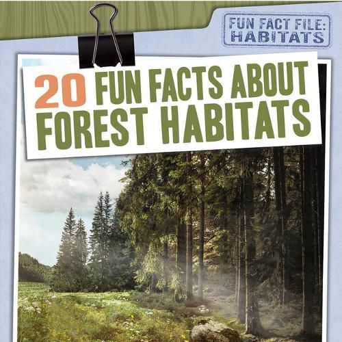 Cover image for 20 Fun Facts about Forest Habitats