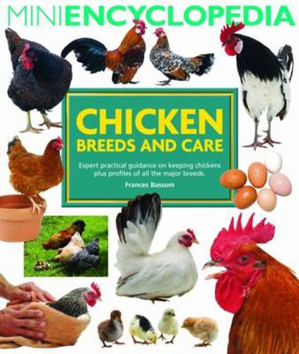 Cover image for Mini Encyclopedia of Chicken Breeds and Care