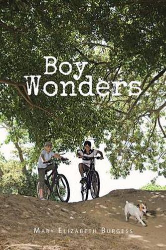 Cover image for Boy Wonders