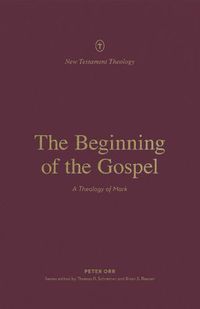 Cover image for The Beginning of the Gospel: A Theology of Mark