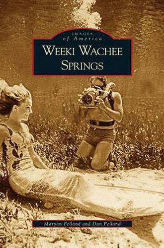 Cover image for Weeki Wachee Springs