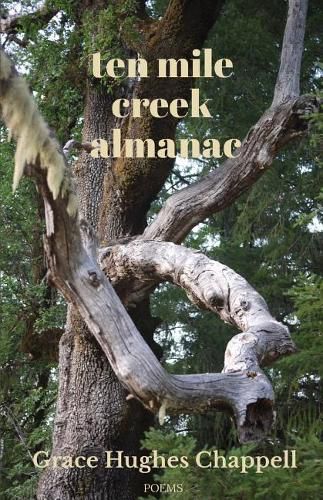 Cover image for Ten Mile Creek Almanac