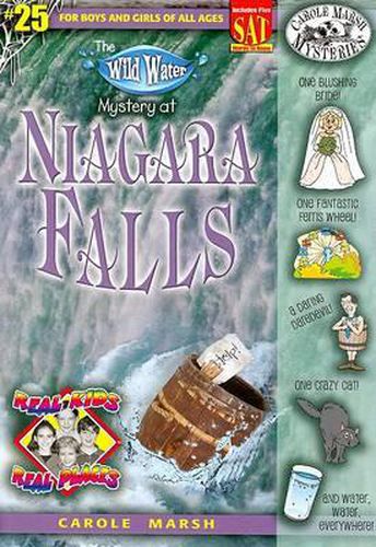 Cover image for The Wild Water Mystery of Niagra Falls