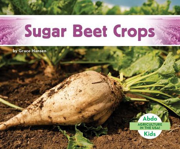 Cover image for Sugar Beet Crops