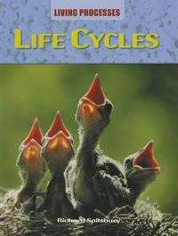 Cover image for Life Cycles