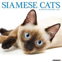 Cover image for Siamese Cats 2025 12 X 12 Wall Calendar