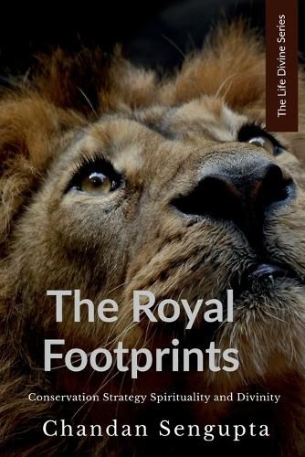 Cover image for The Royal Footprints