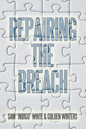 Cover image for Repairing the Breach