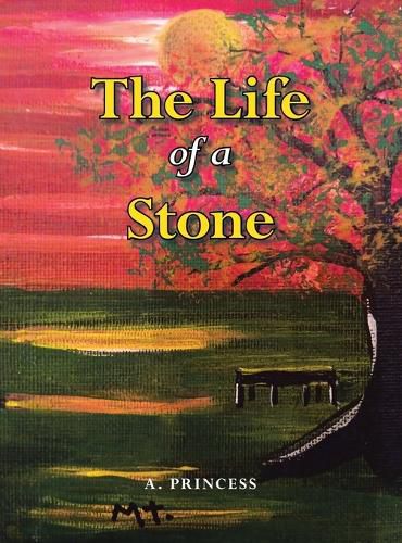 Cover image for The Life of a Stone