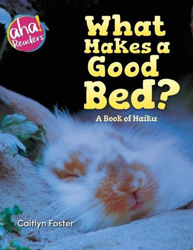 Cover image for What Makes a Good Bed?: A book of Haiku