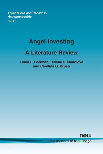 Cover image for Angel Investing: A Literature Review