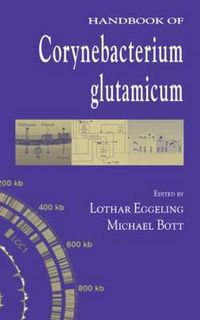 Cover image for Handbook of Corynebacterium glutamicum