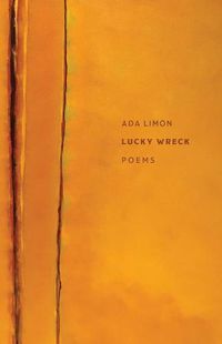 Cover image for Lucky Wreck - Poems
