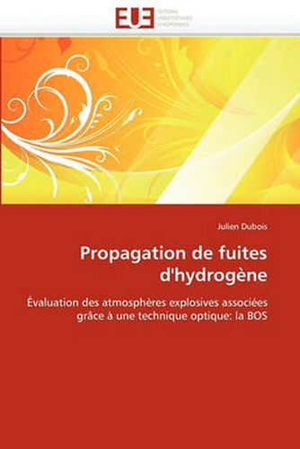 Cover image for Propagation de Fuites D'Hydrog Ne