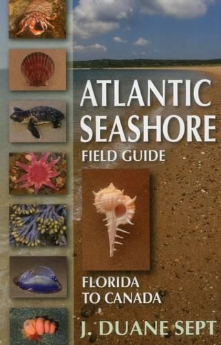 Cover image for Atlantic Seashore Field Guide: Florida to Canada