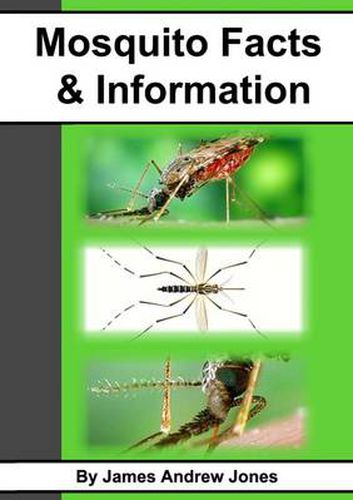 Cover image for Mosquito Facts & Information