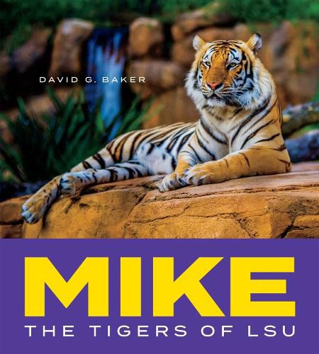 Cover image for Mike