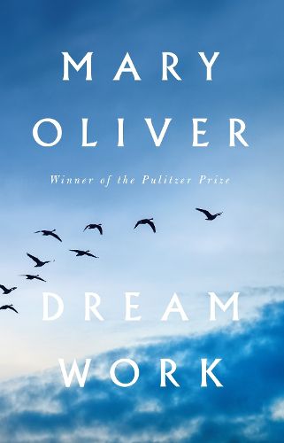 Cover image for Dream Work