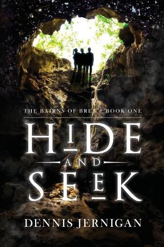 Cover image for Hide and Seek