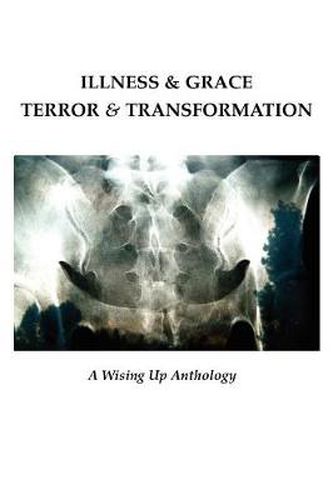 Cover image for Illness & Grace, Terror & Transformation