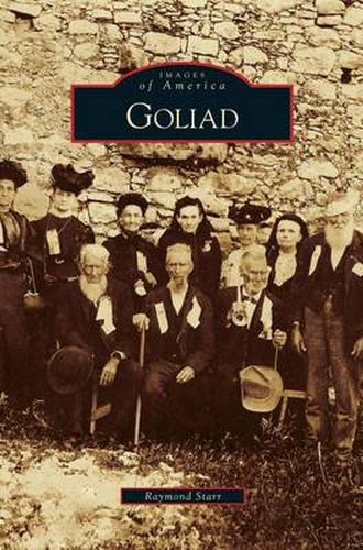 Cover image for Goliad