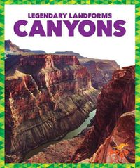 Cover image for Canyons