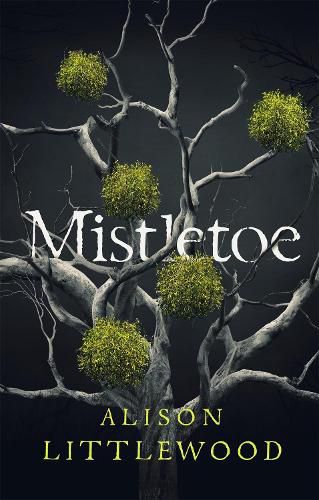 Cover image for Mistletoe: 'The perfect read for frosty nights' HEAT