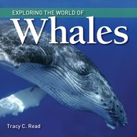 Cover image for Exploring the World of Whales