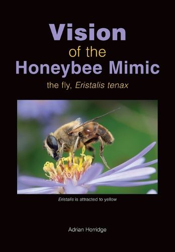 Cover image for Vision of the Honeybee Mimic