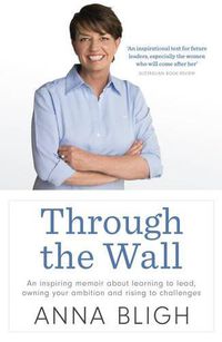 Cover image for Through the Wall