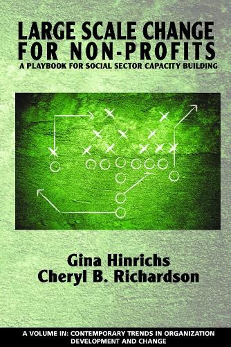 Cover image for Large Scale Change For Non-Profits: A Playbook For Social Sector Capacity Building