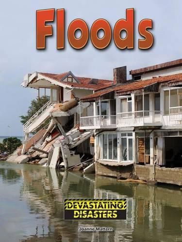 Cover image for Floods