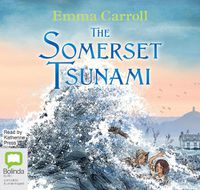 Cover image for The Somerset Tsunami