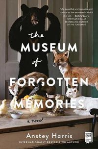 Cover image for The Museum of Forgotten Memories