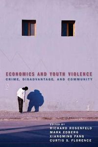 Cover image for Economics and Youth Violence: Crime, Disadvantage, and Community