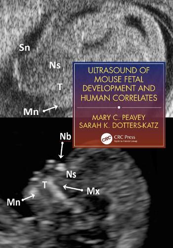 Cover image for Ultrasound of Mouse Fetal Development and Human Correlates