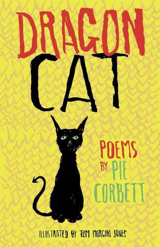 Cover image for Dragon Cat