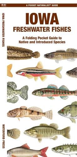 Cover image for Iowa Freshwater Fishes