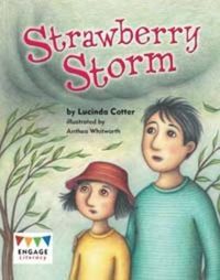 Cover image for Strawberry Storm