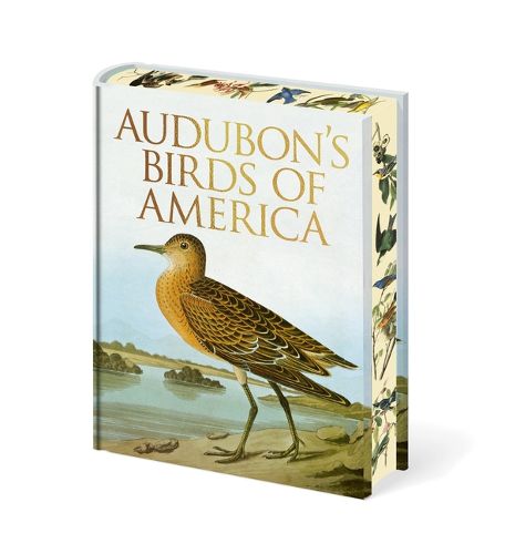 Cover image for Audubon's Birds of America