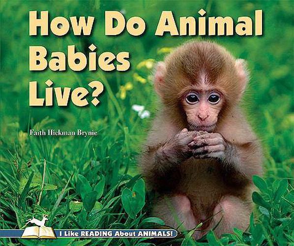 Cover image for How Do Animal Babies Live?