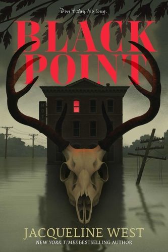 Cover image for Black Point