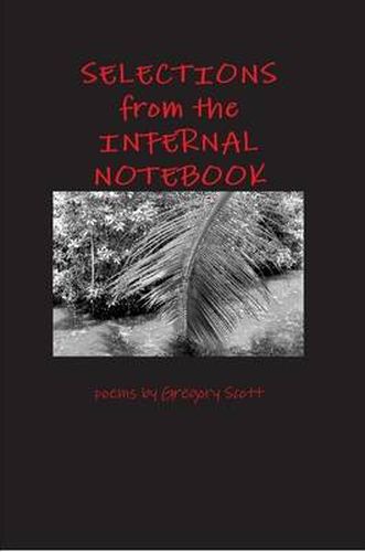 Cover image for Selections from the Infernal Notebook